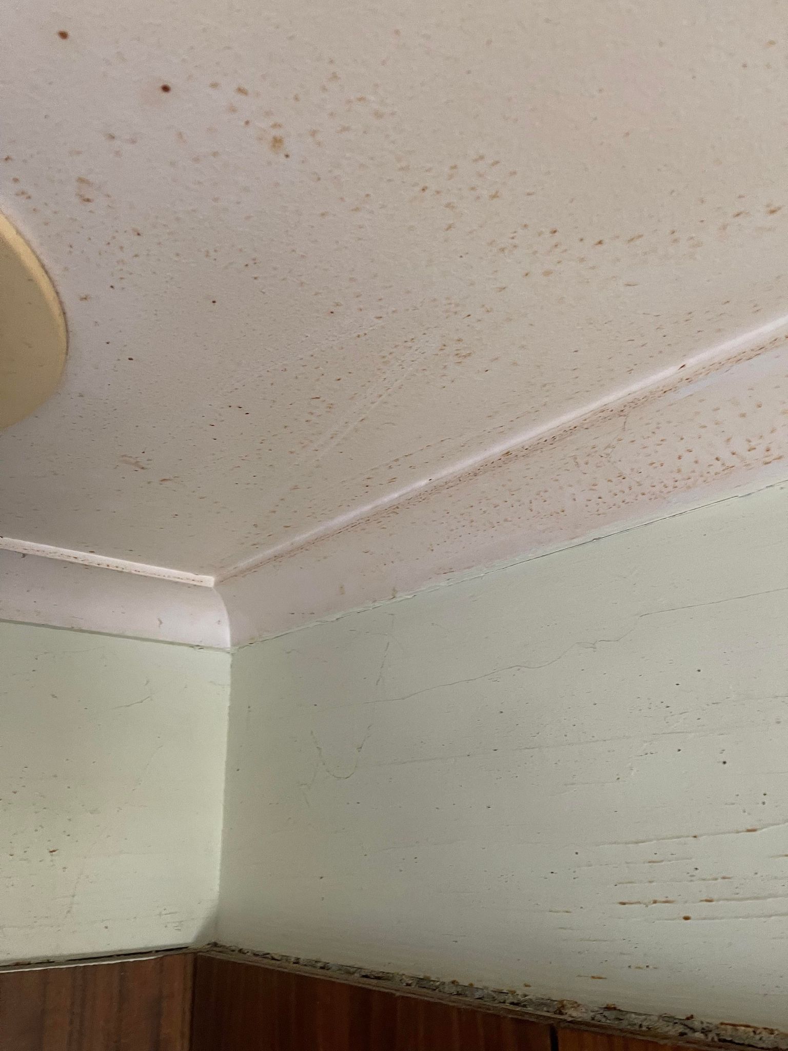 Basecamp Cleaing Services